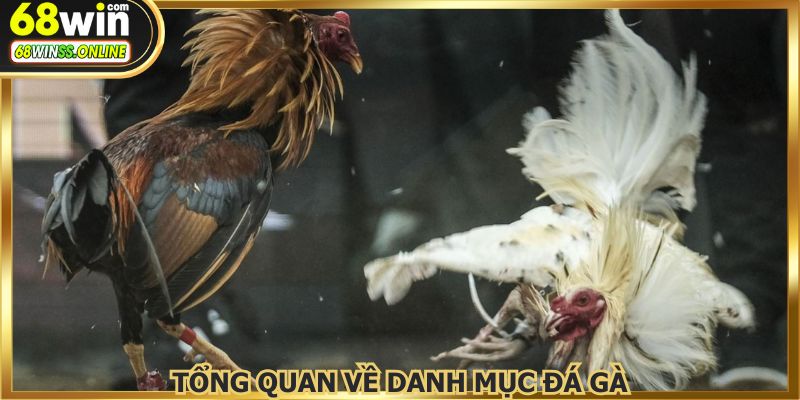 Mục nhận được lượng truy cập lớn